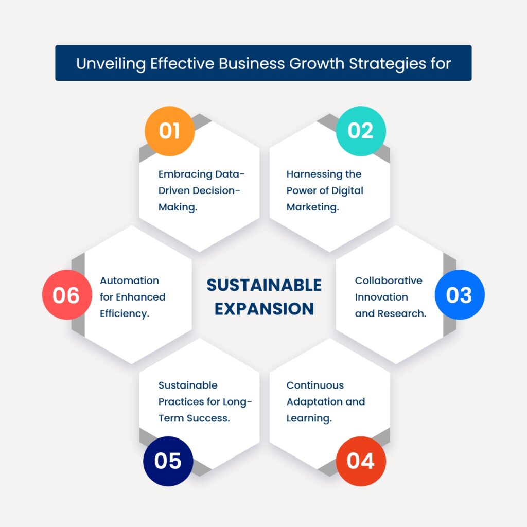 Business Growth Strategies